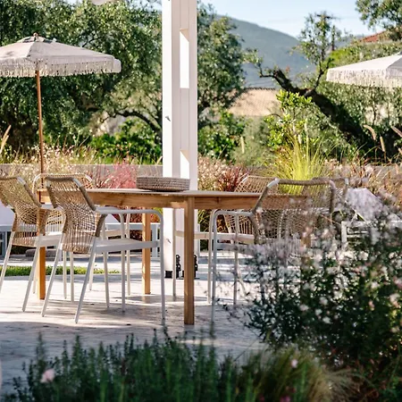 Matti With Private Pool *