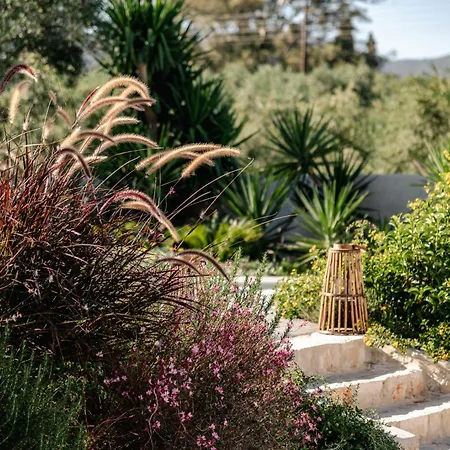 빌라 Matti With Private Pool Romírion